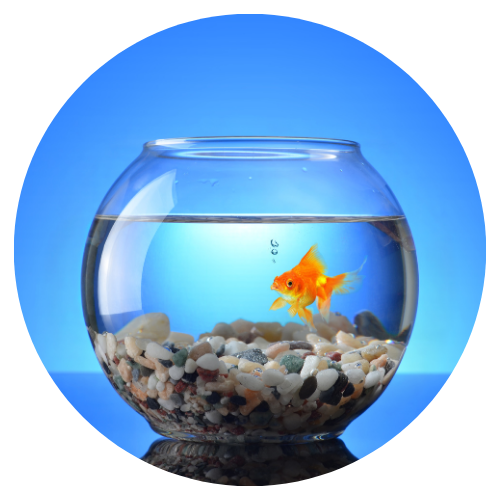 AQUARIUM
